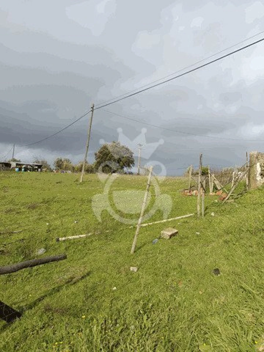 Terreno para Venda em Montoito Foto 10