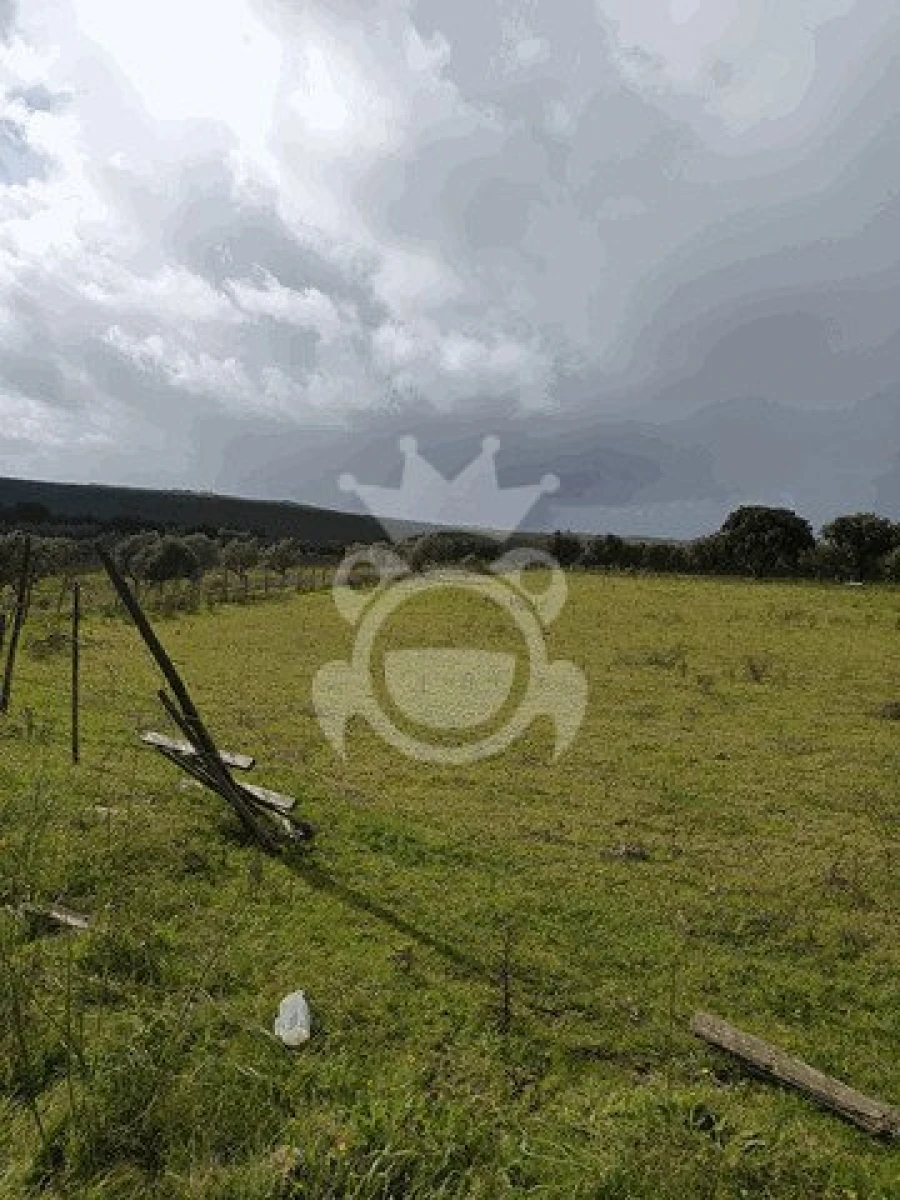 Terreno para Venda em Montoito Foto 9