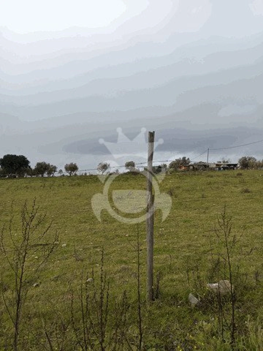 Terreno para Venda em Montoito Foto 12