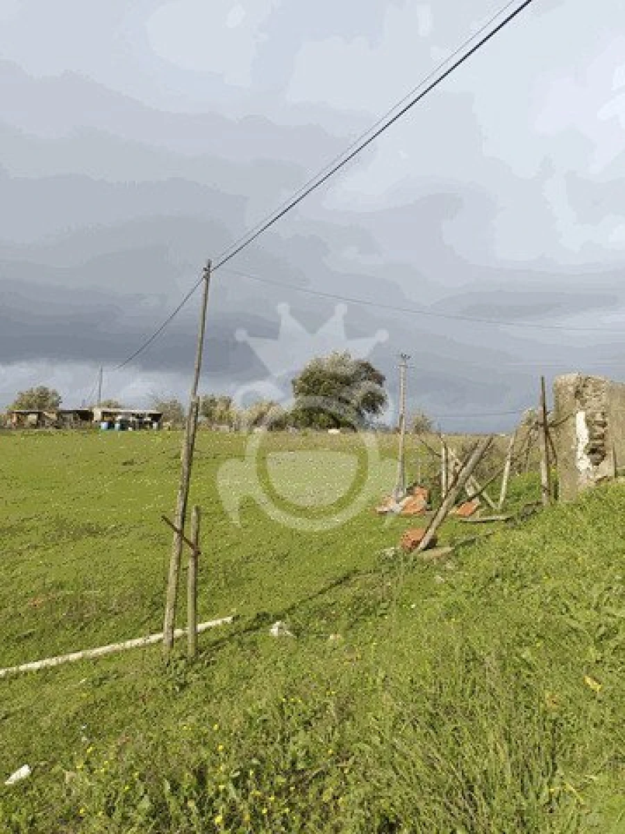 Terreno para Venda em Montoito Foto 5
