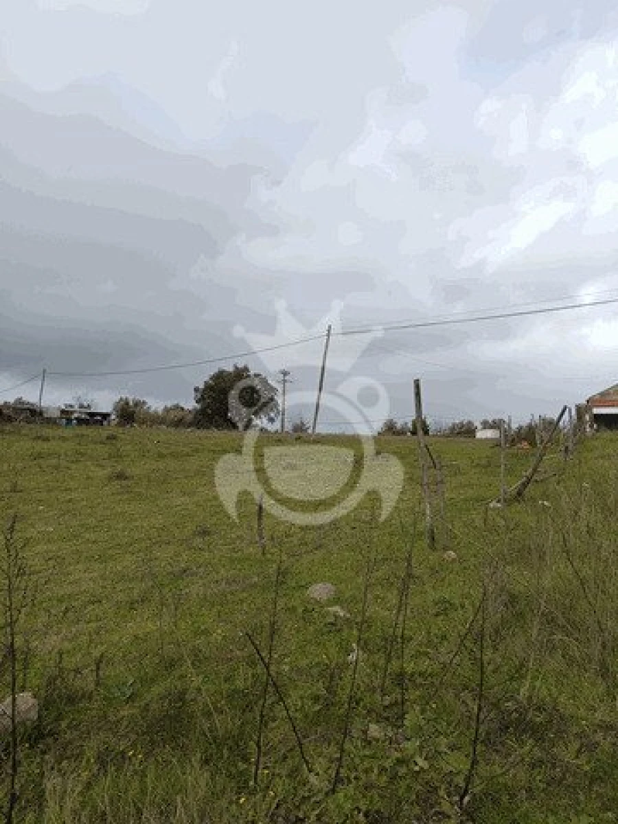 Terreno para Venda em Montoito Foto 13