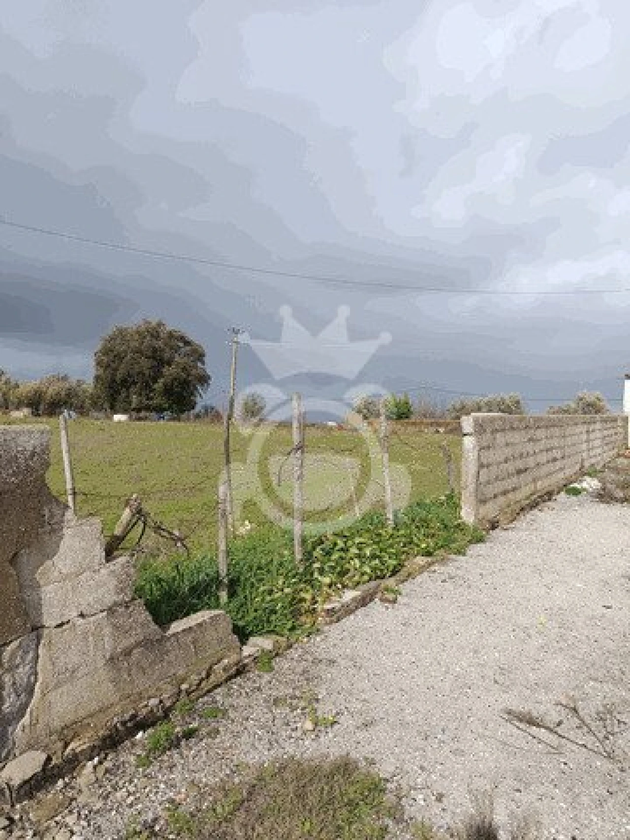 Terreno para Venda em Montoito Foto 4