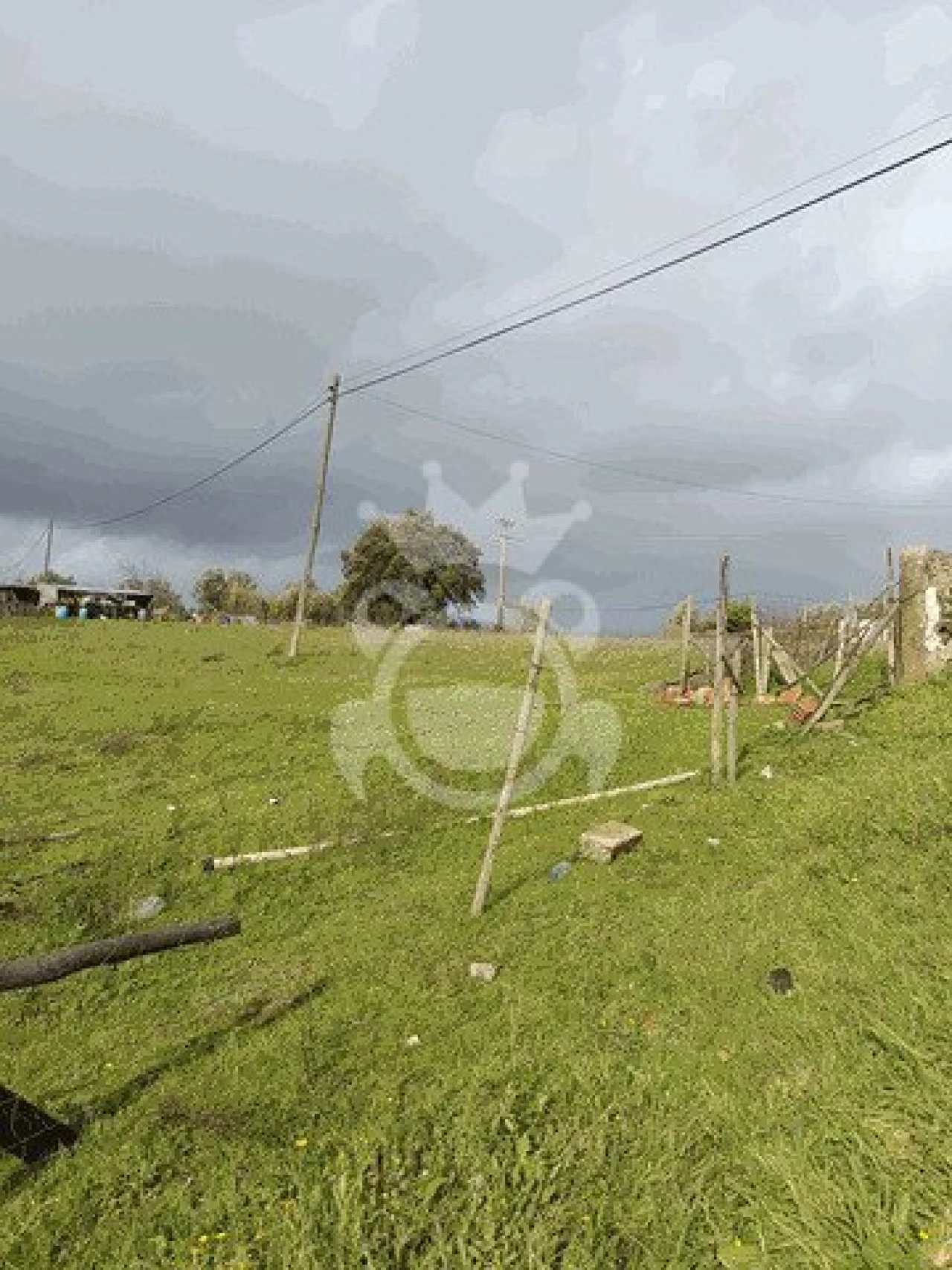 Terreno para Venda em Montoito Foto 10