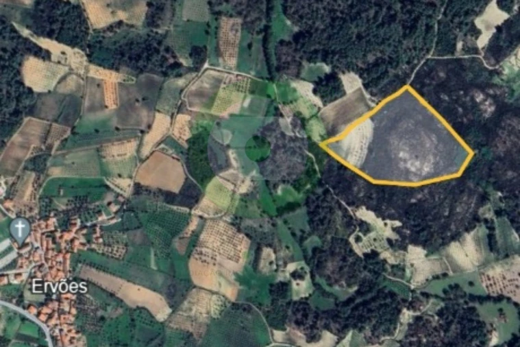 Terreno para Venda em Ervões Foto 3