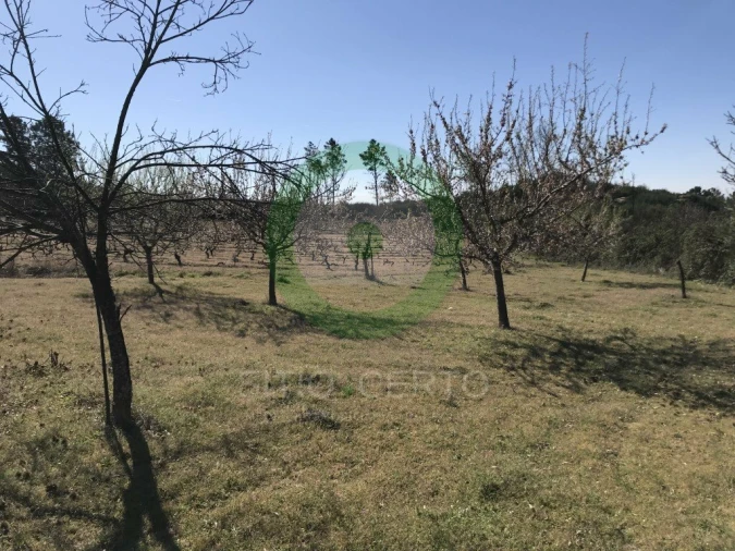Terreno para Venda em Ervões Foto 6