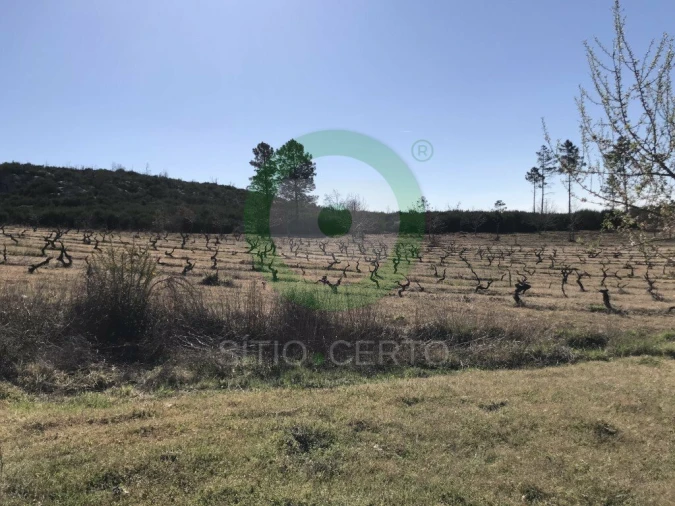 Terreno para Venda em Ervões Foto 7