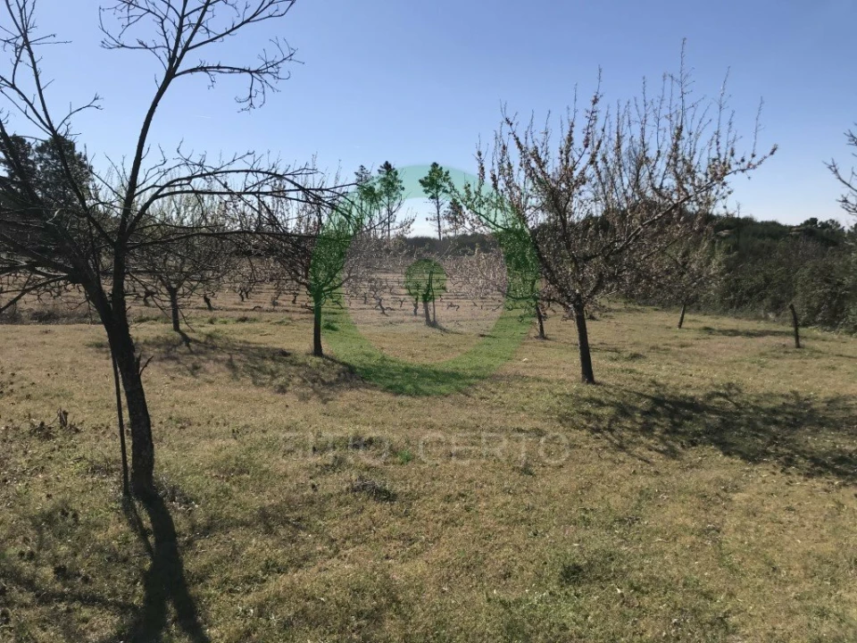 Terreno para Venda em Ervões Foto 6