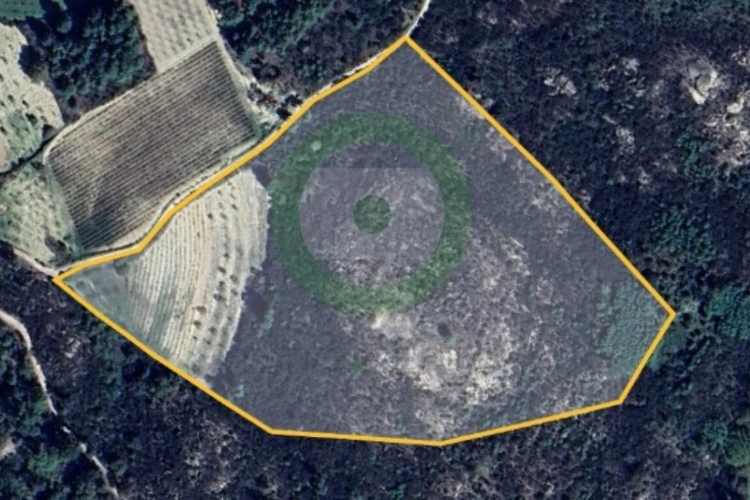 Terreno para Venda em Ervões Foto 2