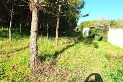 Terreno para Venda em Pataias e Martingança
