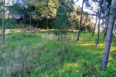 Terreno para Venda em Pataias e Martingança