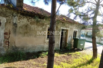 Terreno para Venda em Pataias e Martingança