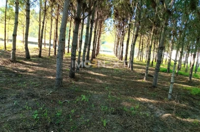 Terreno para Venda em Pataias e Martingança