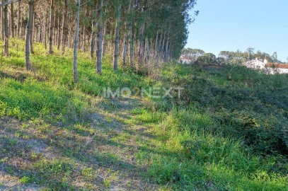 Terreno para Venda em Pataias e Martingança