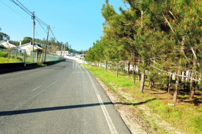 Terreno para Venda em Pataias e Martingança