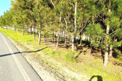 Terreno para Venda em Pataias e Martingança