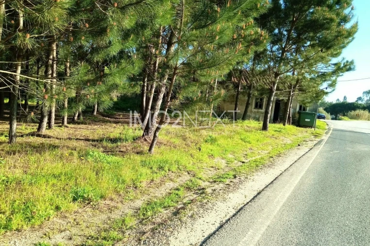 Terreno para Venda em Pataias e Martingança Foto 14