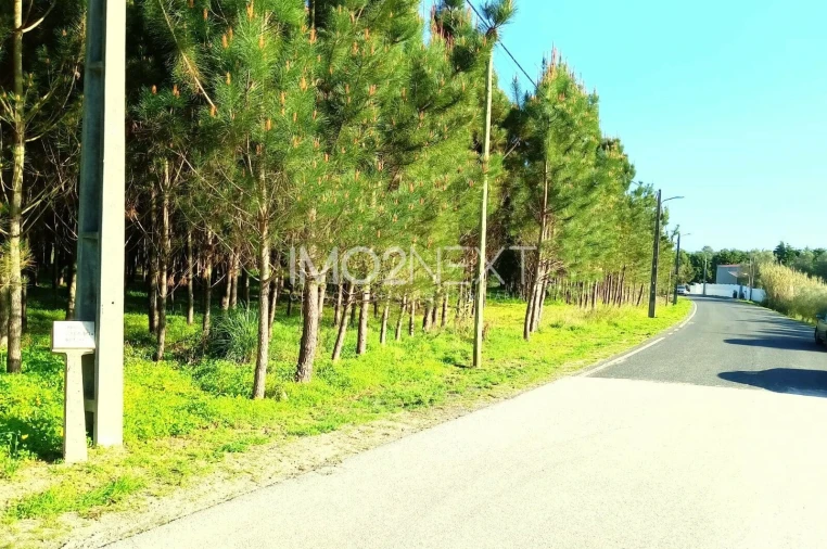 Terreno para Venda em Pataias e Martingança Foto 13