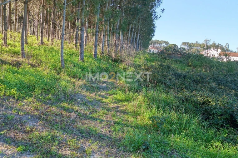 Terreno para Venda em Pataias e Martingança Foto 17