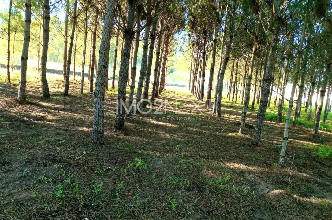 Terreno para Venda em Pataias e Martingança Foto 16