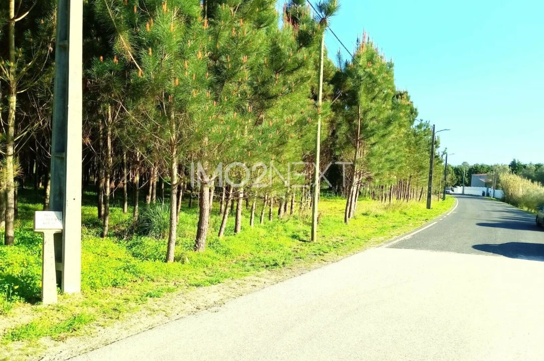 Terreno para Venda em Pataias e Martingança Foto 13
