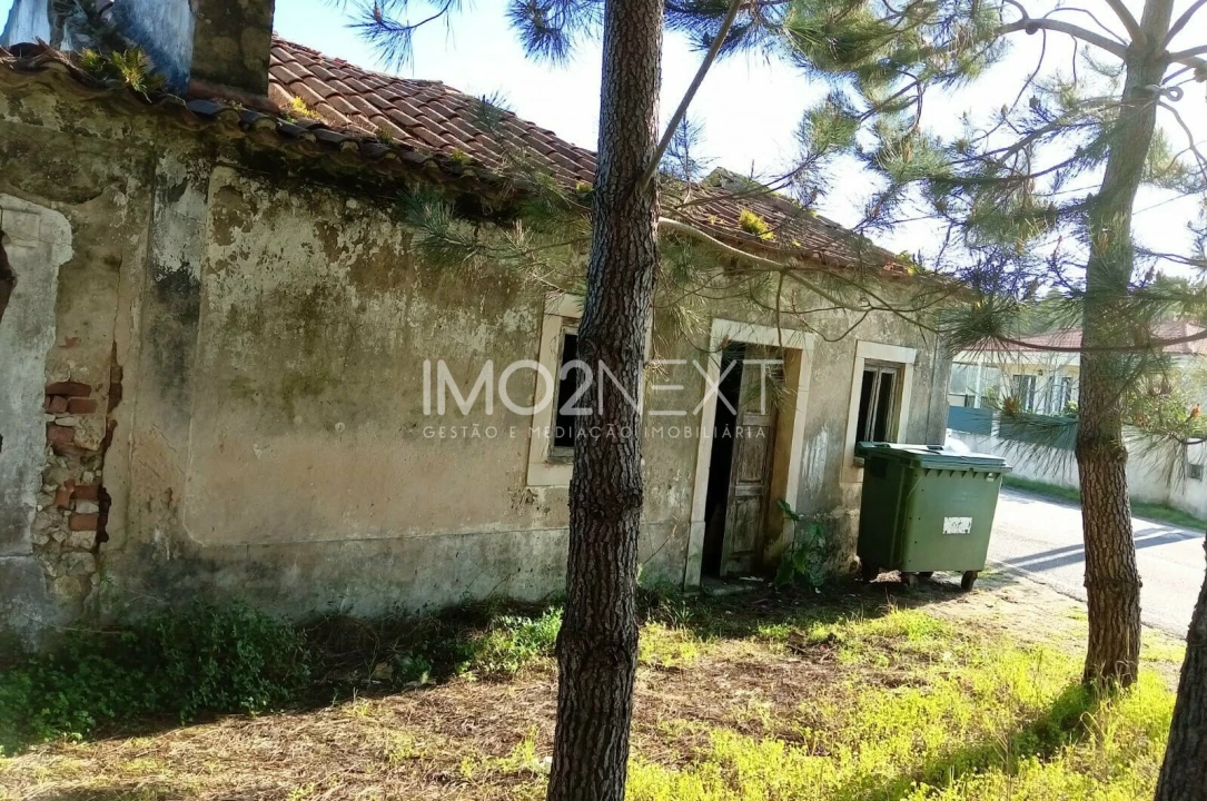 Terreno para Venda em Pataias e Martingança Foto 2