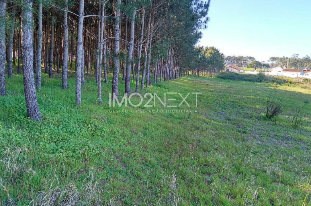 Terreno para Venda em Pataias e Martingança Foto 20