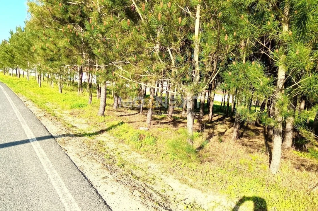 Terreno para Venda em Pataias e Martingança Foto 16