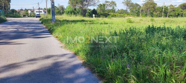 Terreno para Venda em Maceira