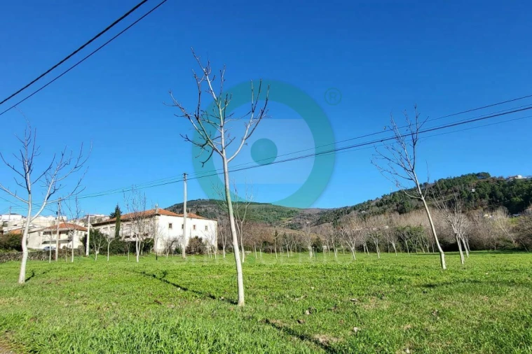 Terreno para Venda em Vinhais Foto 1