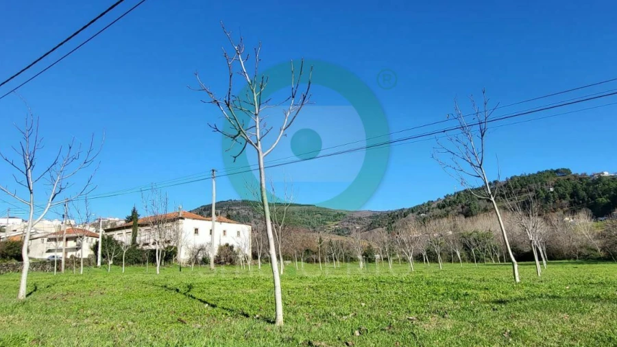 Terreno para Venda em Vinhais