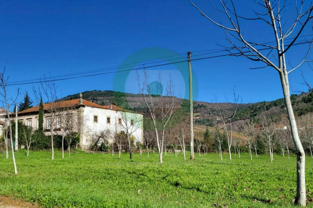 Terreno para Venda em Vinhais Foto 4