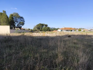 Terreno para Venda em Maceira