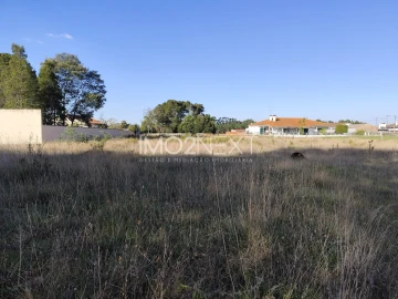 Terreno para Venda em Maceira