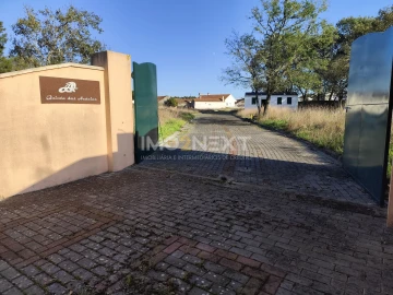 Terreno para Venda em Maceira