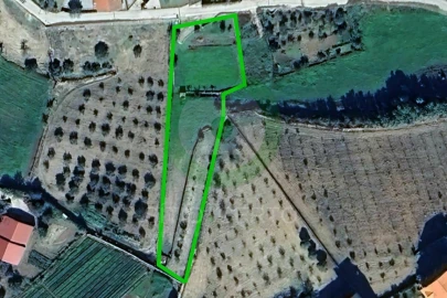 Terreno para Venda em Suçães