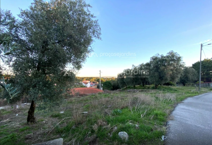 Terreno para Venda em Maceira Foto 2