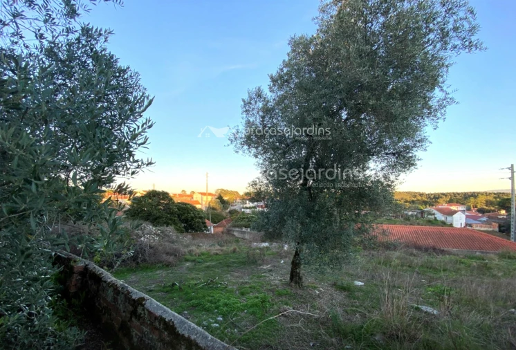 Terreno para Venda em Maceira Foto 3