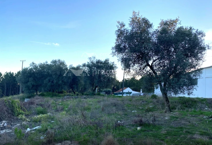 Terreno para Venda em Maceira Foto 4
