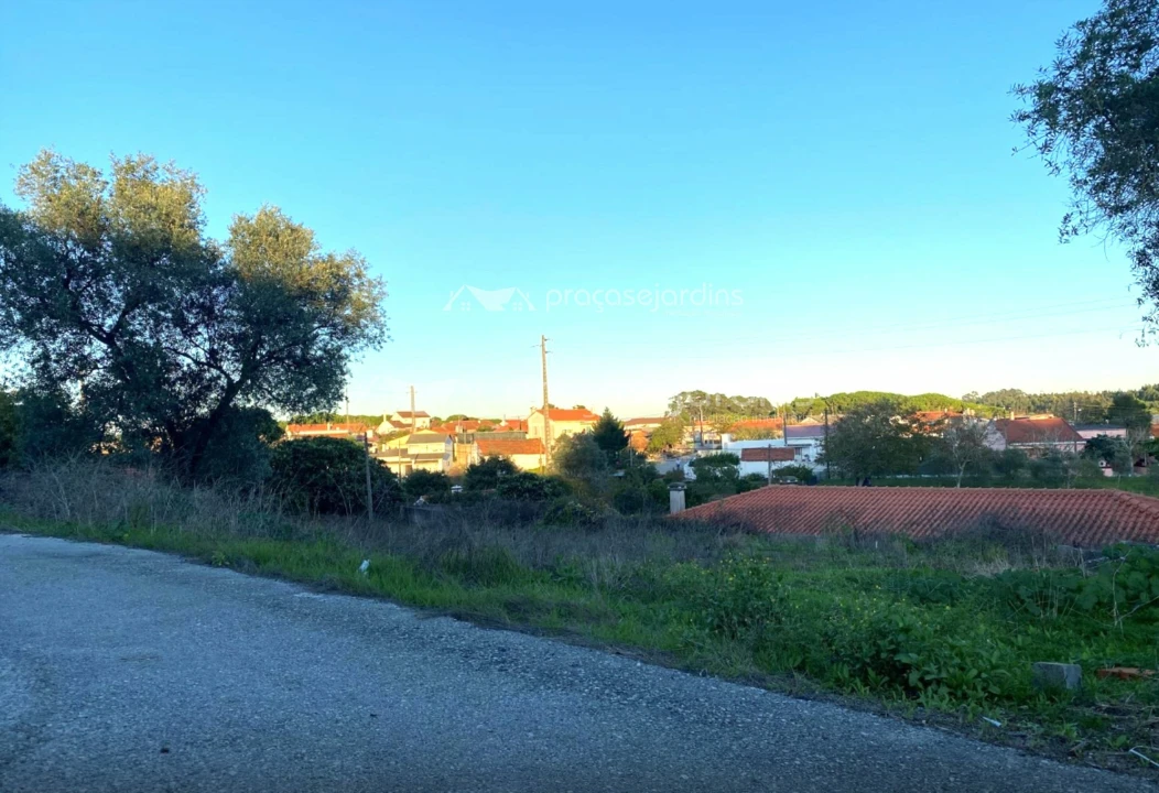 Terreno para Venda em Maceira Foto 1