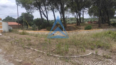 Terreno para Venda em Constancia
