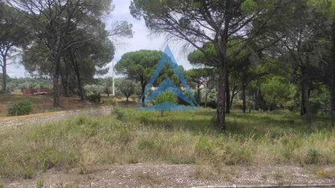 Terreno para Venda em Constancia