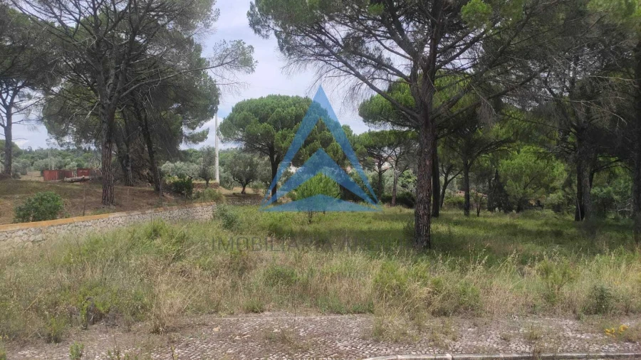 Terreno para Venda em Constancia Foto 3