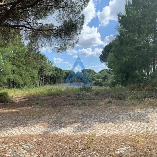 Terreno para Venda em Constancia Foto 3