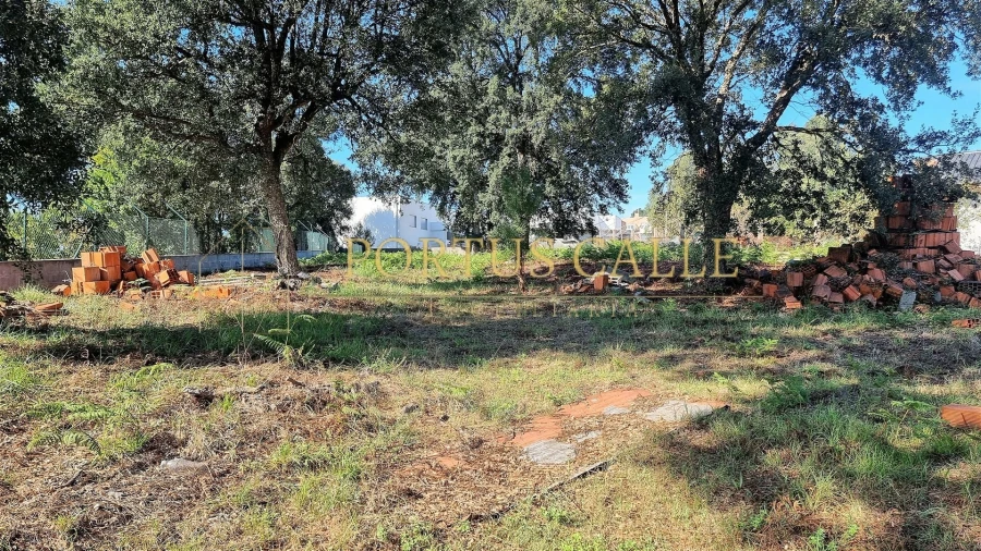 Terreno para Venda em Grijó e Sermonde Foto 9