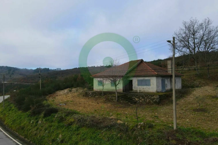 Terreno para Venda em Lebução, Fiães e Nozelos Foto 3