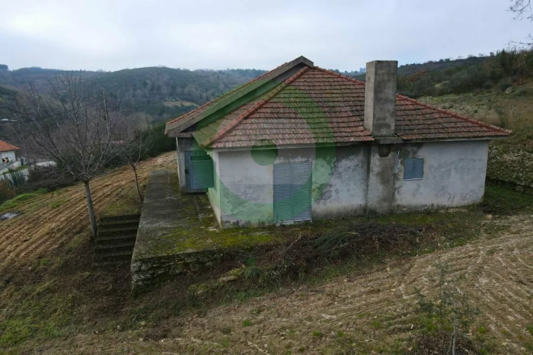 Terreno para Venda em Lebução, Fiães e Nozelos Foto 5