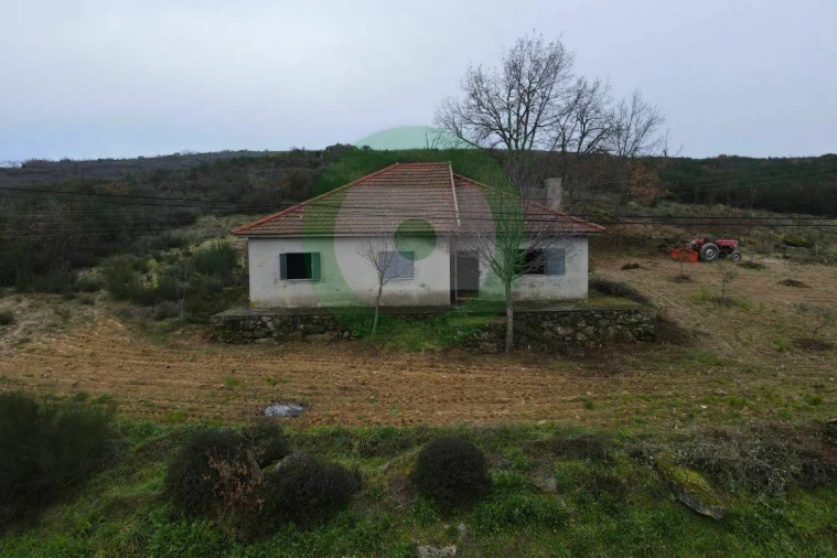 Terreno para Venda em Lebução, Fiães e Nozelos Foto 4