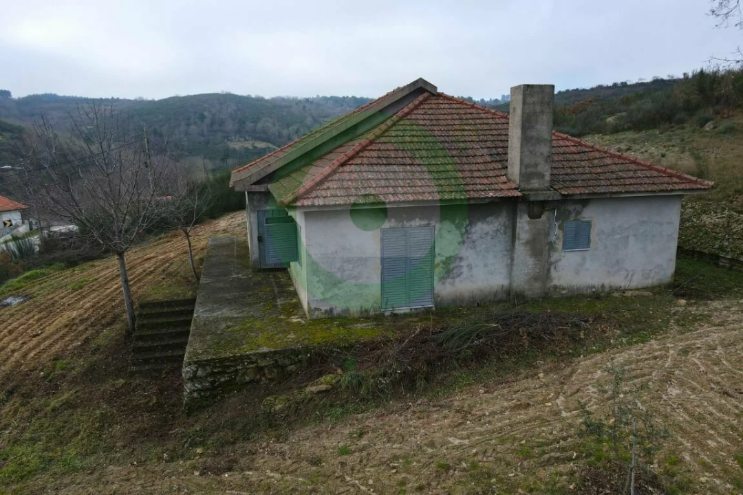 Terreno para Venda em Lebução, Fiães e Nozelos Foto 5