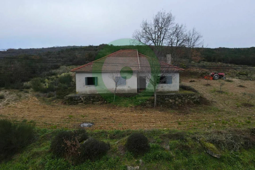 Terreno para Venda em Lebução, Fiães e Nozelos Foto 4