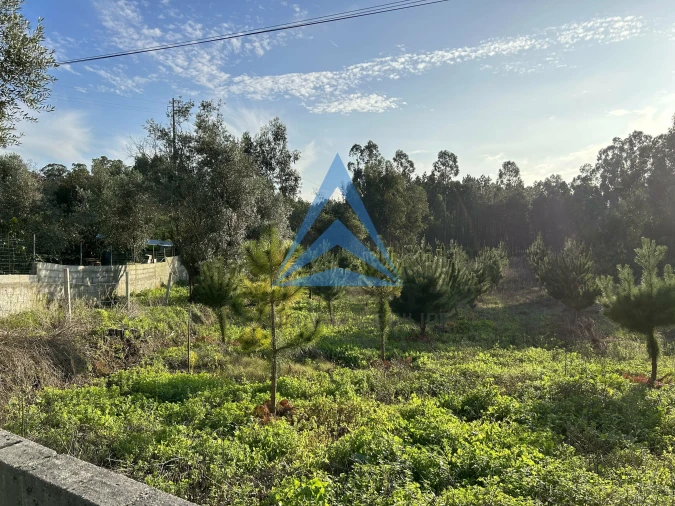 Terreno para Venda em Vermoil Foto 2